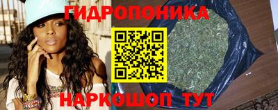 тгк Гусь-Хрустальный