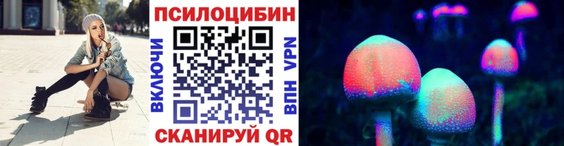 Галлюциногенные грибы Psilocybe  kraken зеркало  Кириши 