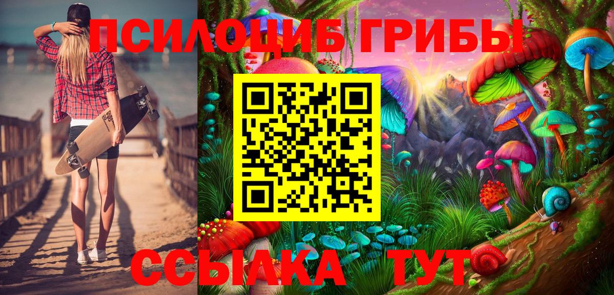 Псилоцибиновые грибы Cubensis Кириши