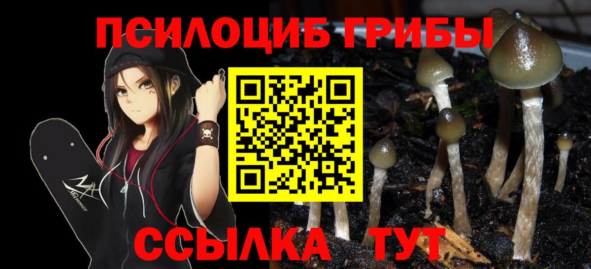  Кокаин Кириши