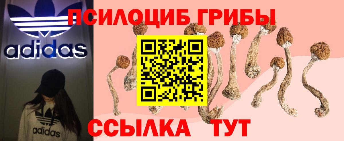 Галлюциногенные грибы Psilocybine cubensis Кириши